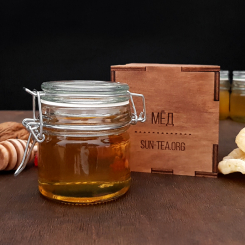 Горный Алтайский мёд (Box)